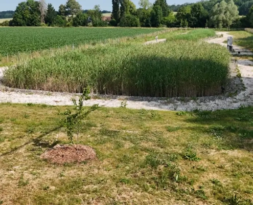 ERSE - Station épuration de type naturelle sur la commune de Amillis