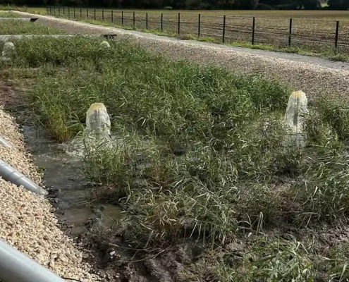 ERSE - Station épuration de type naturelle sur la commune de Petit-Mars
